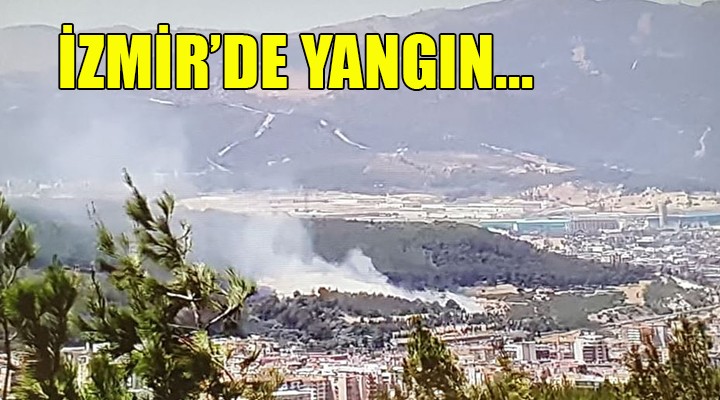 İzmir Buca da yangın...