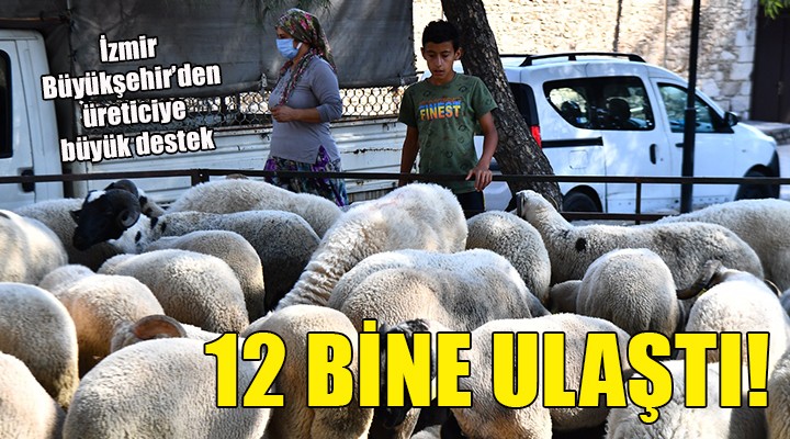 İzmir Büyükşehir den büyük destek... 12 bine ulaştı!