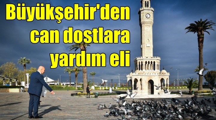 İzmir Büyükşehir den sokak hayvanlarına yardım eli!