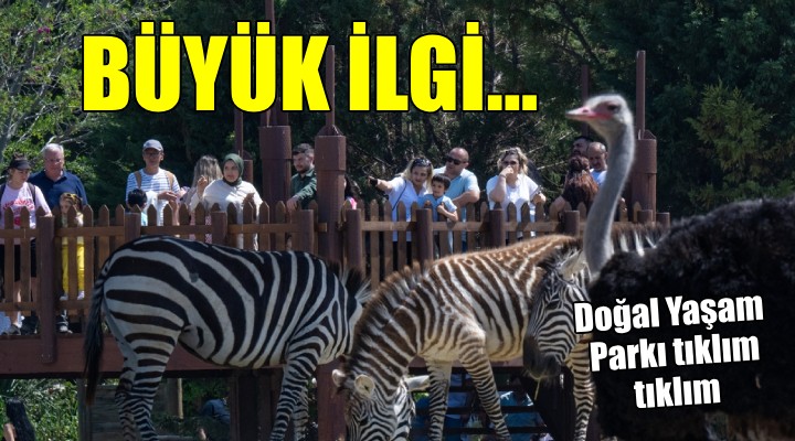 İzmir Doğal Yaşam Parkı na büyük ilgi...