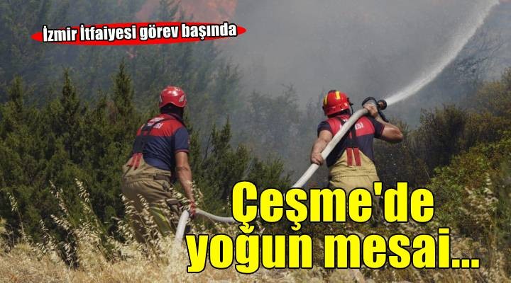 İzmir İtfaiyesi Çeşme'nin dört bir yanında görev başında
