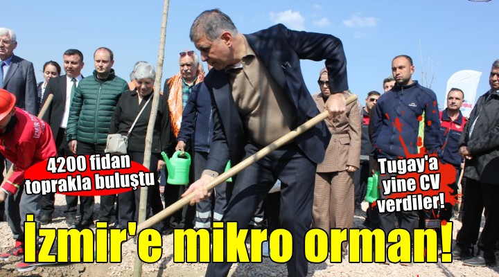 ‘İzmir İtfaiyesi Korusu Mikro Orman Uygulaması’ Bornova’da yeşerdi