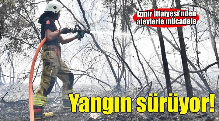 İzmir İtfaiyesi Menderes’te alevlerle mücadele ediyor