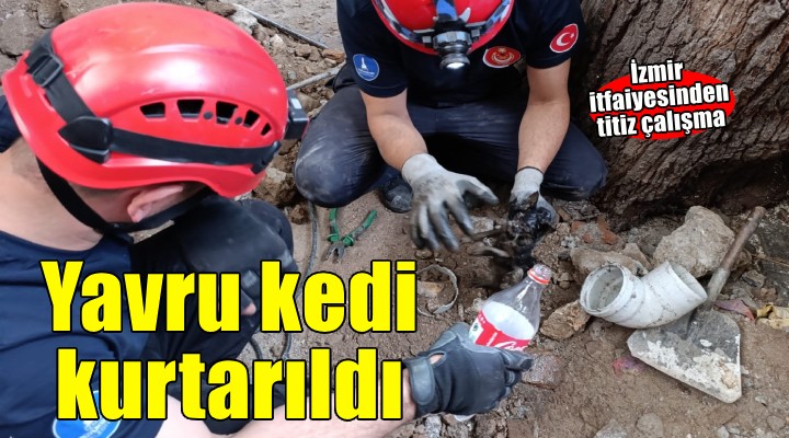 İzmir İtfaiyesi havalandırma bacasına sıkışan kediyi kurtardı
