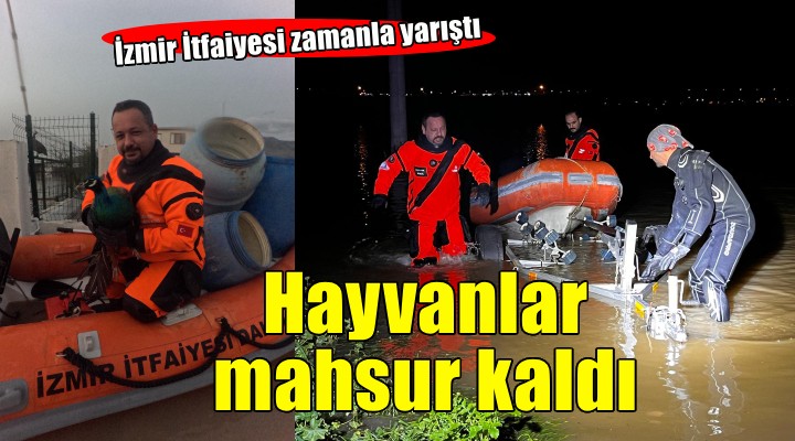 İzmir İtfaiyesi sessiz canlar için zamanla yarıştı