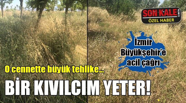 O cennette büyük tehlike! BİR KIVILCIM YETER!