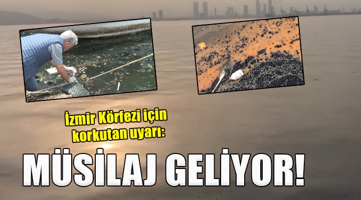 İzmir Körfezi için müsilaj uyarısı..