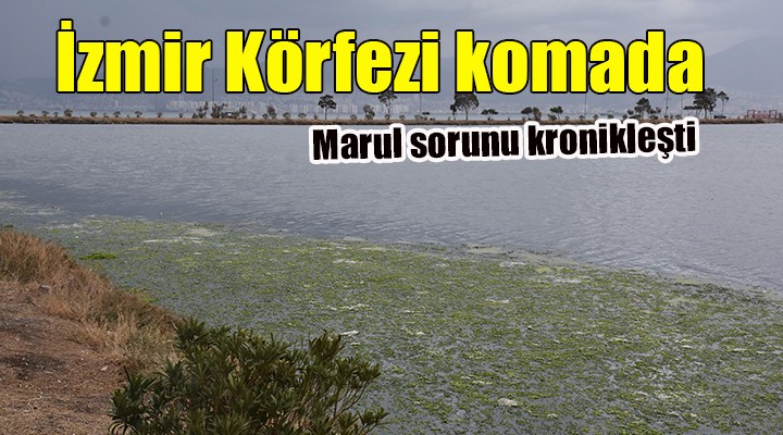 İzmir Körfezi komada...