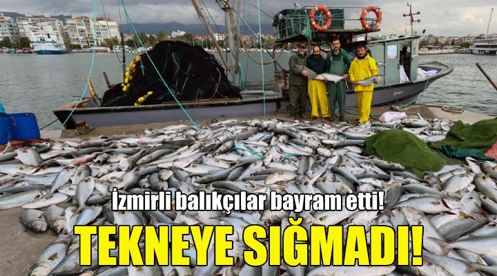İzmir Körfezi nde 10 ton balık yakaladılar!