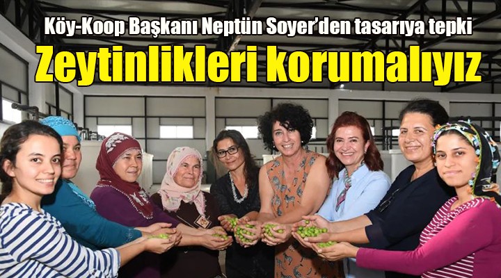 İzmir Köy Koop Birlik Başkanı Neptün Soyer: Zeytinliklerimizi korumalıyız