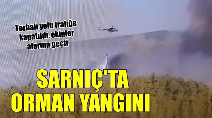 İzmir Sarnıç ta orman yangını