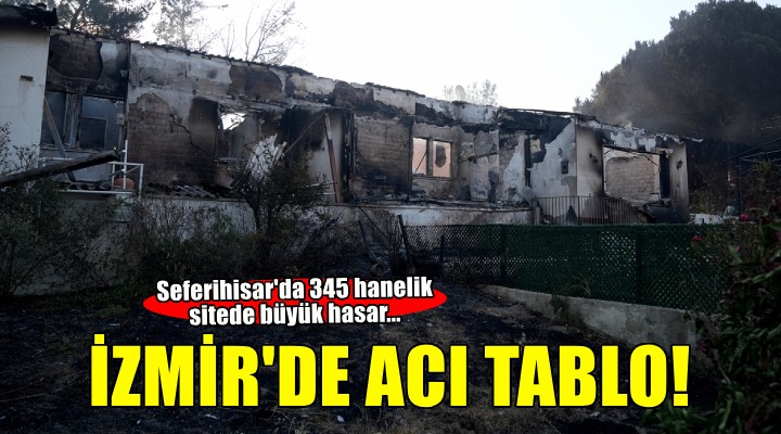 İzmir Seferihisar daki orman yangınında 345 hanenin bulunduğu sitedeki evler zarar gördü