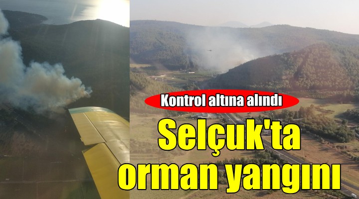 İzmir Selçuk ta orman yangını...