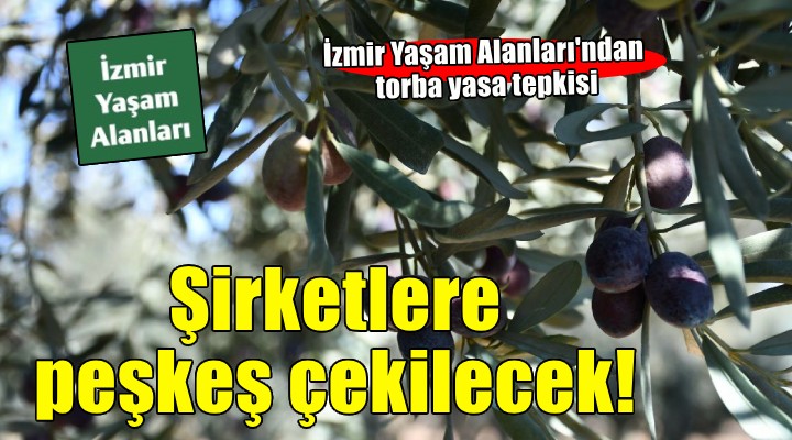 İzmir Yaşam Alanları ndan zeytinlikleri madenciliğe açacak yasa tasarısına tepki!