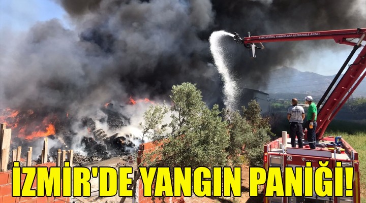 İzmir de yangın paniği!