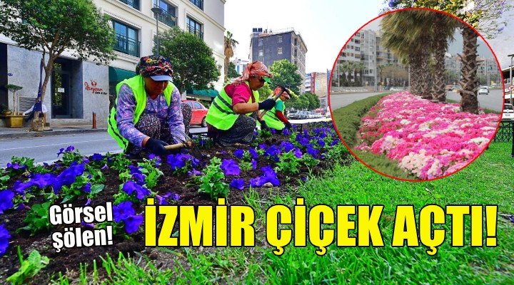 İzmir çiçek açtı!
