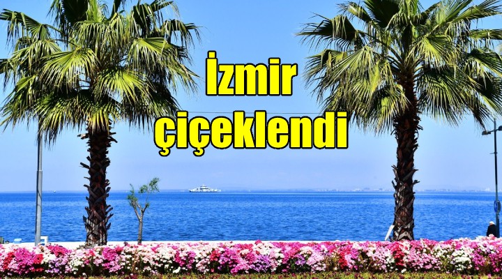 İzmir çiçek açtı