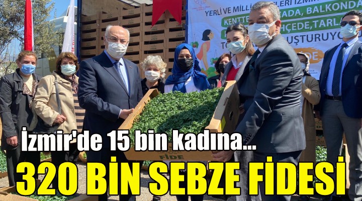 İzmir de 15 bin kadına 320 bin sebze fidesi!