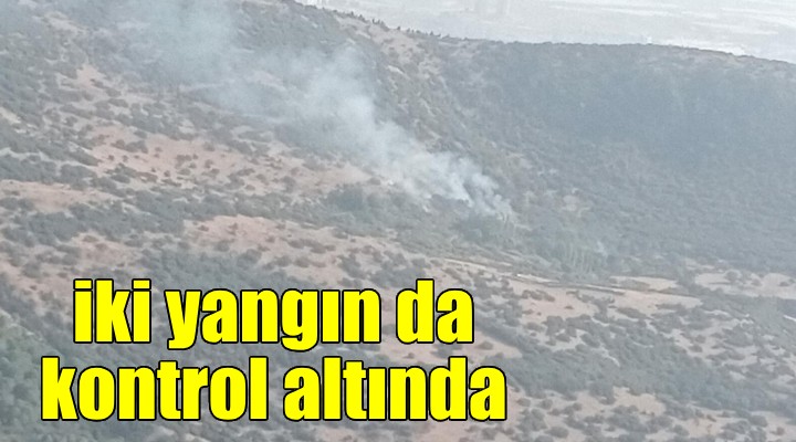 İzmir de 2 farklı noktada çıkan orman yangını kontrol altına alındı