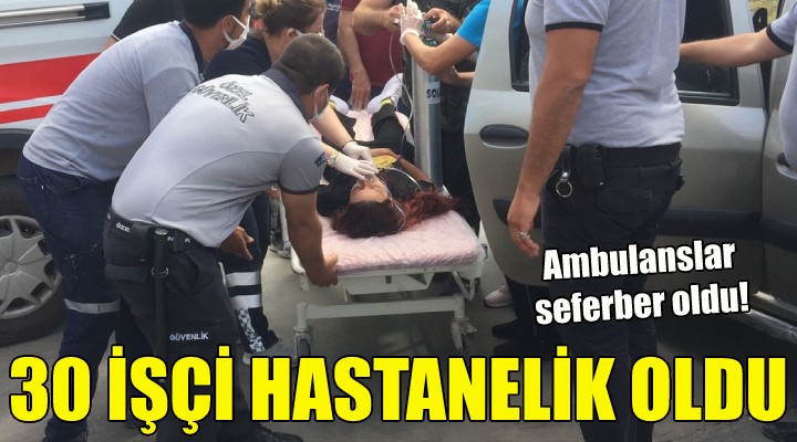 İzmir de 30 işçi hastanelik oldu!