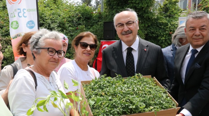 İzmir de 312 bin sebze fidesi dağıtıldı!