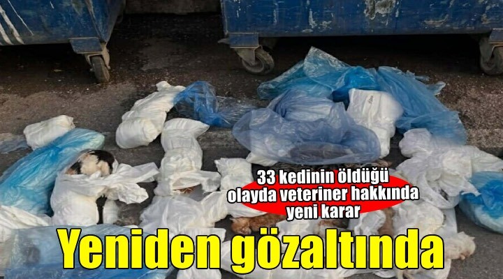 İzmir de 33 kedinin ölü bulunduğu olayda şüpheli veterinere yeniden gözaltı