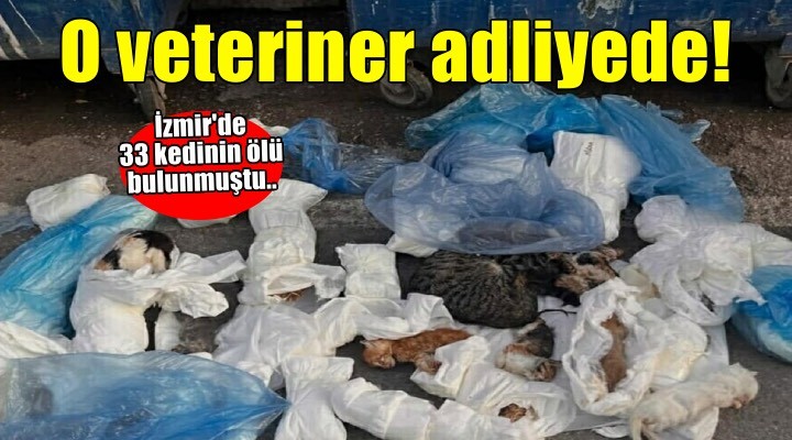 İzmir de 33 kedinin ölü bulunmuştu... Gözaltına alınan veteriner adliyede!