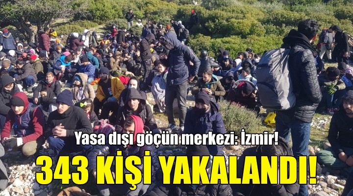 İzmir de 343 kaçak göçmen daha yakalandı!