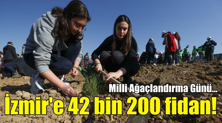 İzmir de 42 bin 200 fidan dikildi!