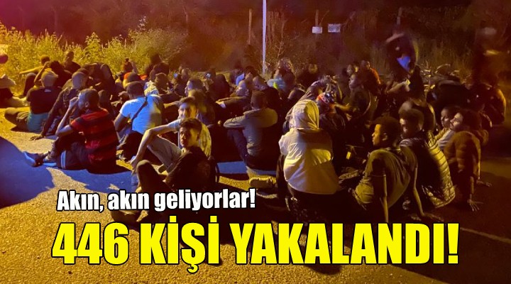 İzmir de 446 kaçak göçmen yakalandı!