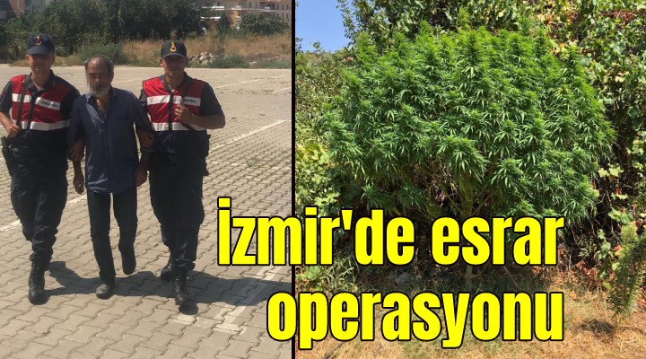 İzmir de 5 kilo esrar ele geçirildi