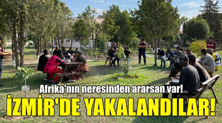 İzmir de 53 kaçak göçmen yakalandı!