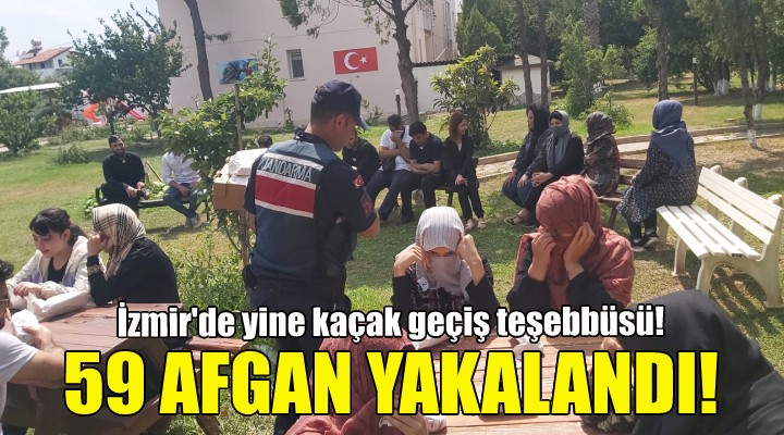 İzmir de 59 kaçak Afgan göçmen yakalandı!