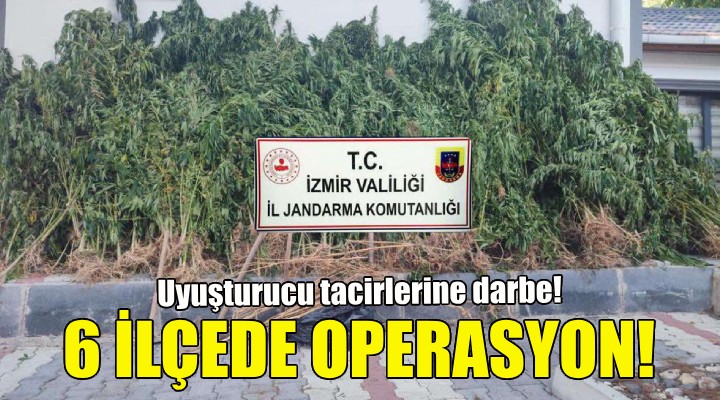 İzmir de 6 ilçede uyuşturucu operasyonu!