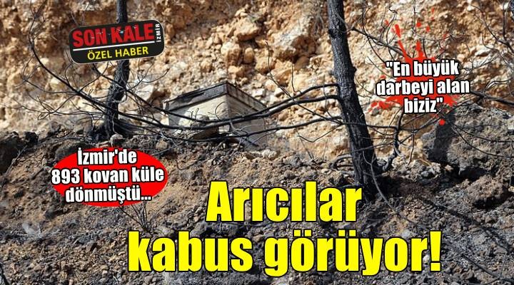 İzmir'de 893 kovan küle dönmüştü... Arıcılar yine kabus görüyor!