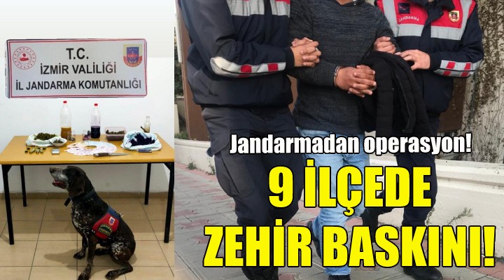 İzmir de 9 ilçede zehir baskını!