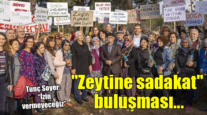 İzmir de  Zeytine sadakat  buluşması