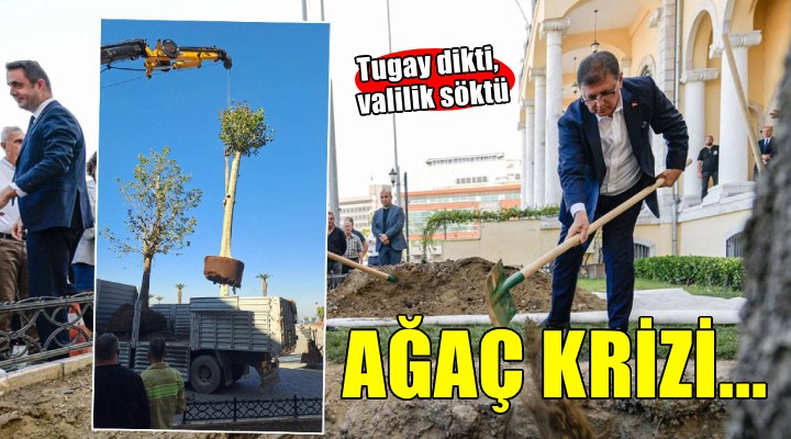 İzmir de ağaç krizi... Tugay dikti, valilik söktü!