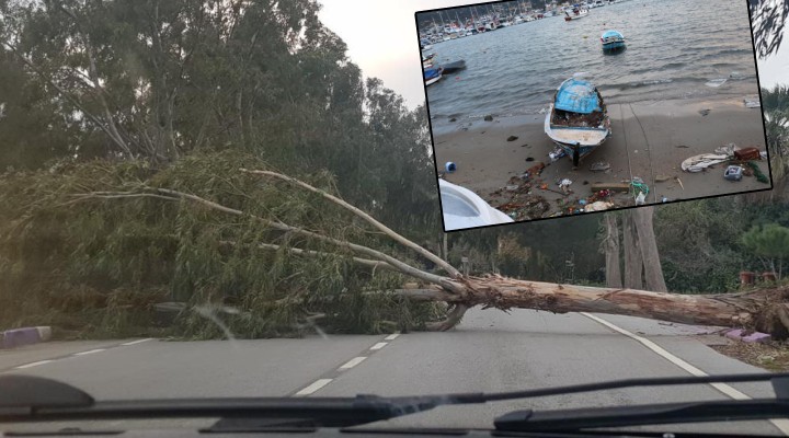 İzmir de ağaçlar devrildi, tekneler battı