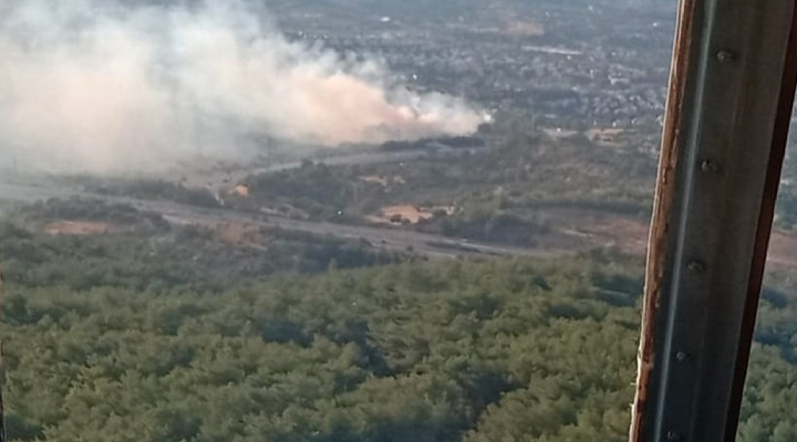 İzmir de ağaçlık alanda yangın