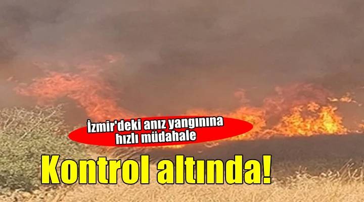 İzmir de anızda çıkıp ağaçlık alana sıçrayan yangın söndürüldü