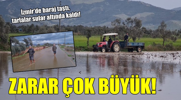 İzmir de baraj taştı, tarlalar sular altında kaldı!