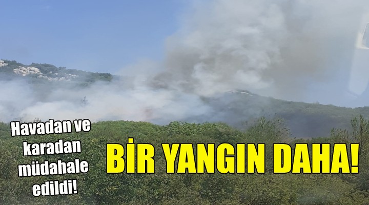 İzmir de bir orman yangını daha!