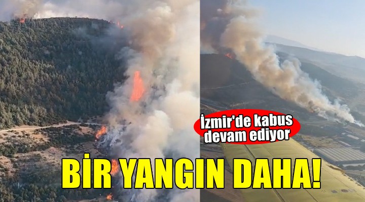 İzmir de bir orman yangını daha!