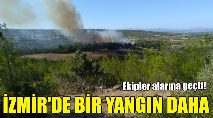 İzmir de bir yangın daha!