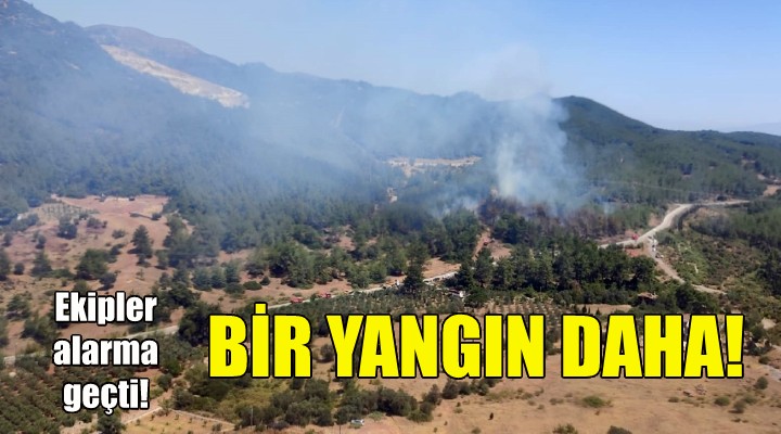 İzmir de bir yangın daha!