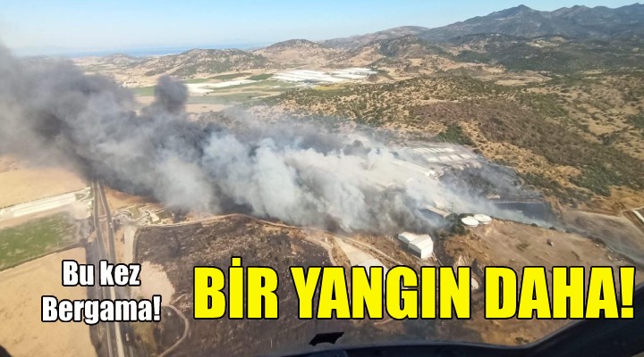 İzmir de bir yangın daha!