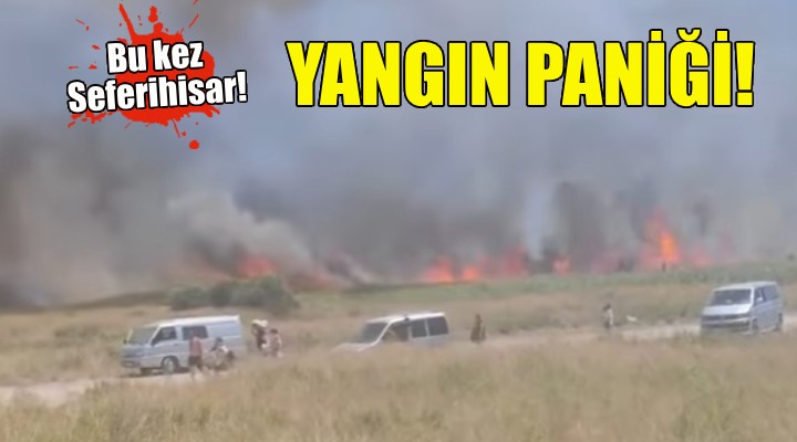 İzmir de korkutan yangın kontrol altına alındı!