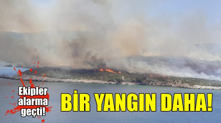 İzmir de bir yangın daha... Ekipler alarma geçti!