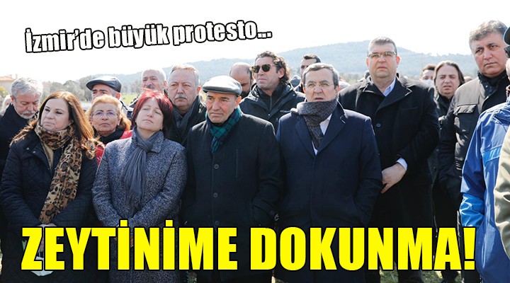 İzmir de büyük protesto:  ZEYTİNİME DOKUNMA 